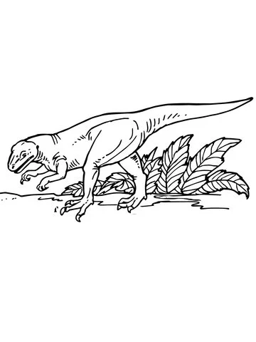 Allosaurus Coloring Pages 18