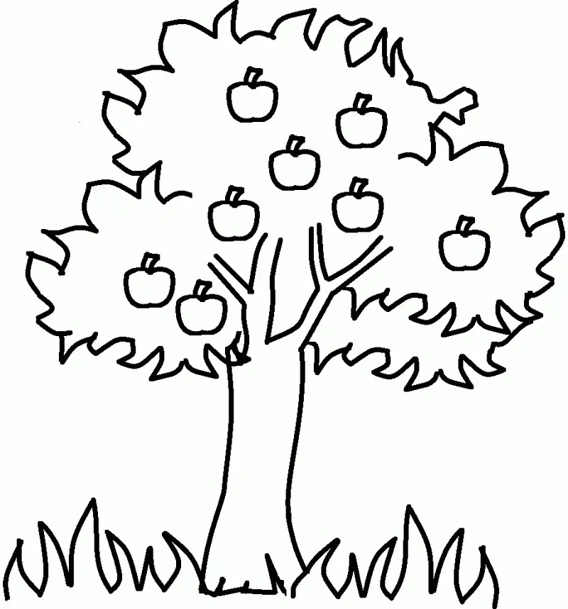 Apple Coloring Pages 11
