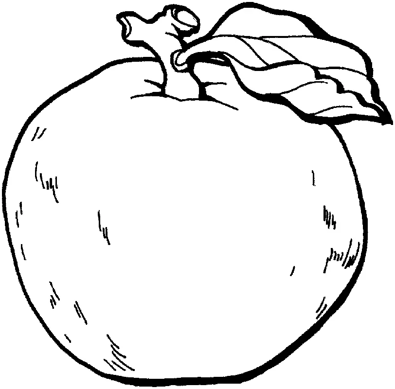 Apple Coloring Pages 29