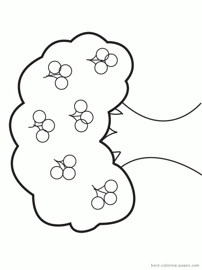 Desenhos de Macieira Para Colorir 15