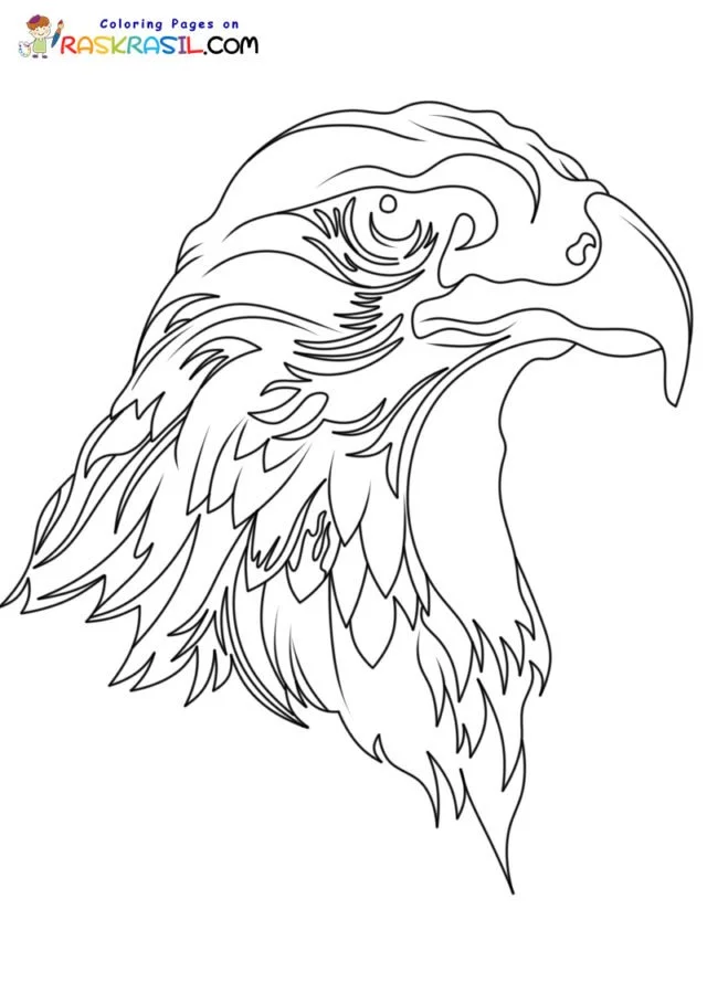 Bald Eagle Coloring Pages 2