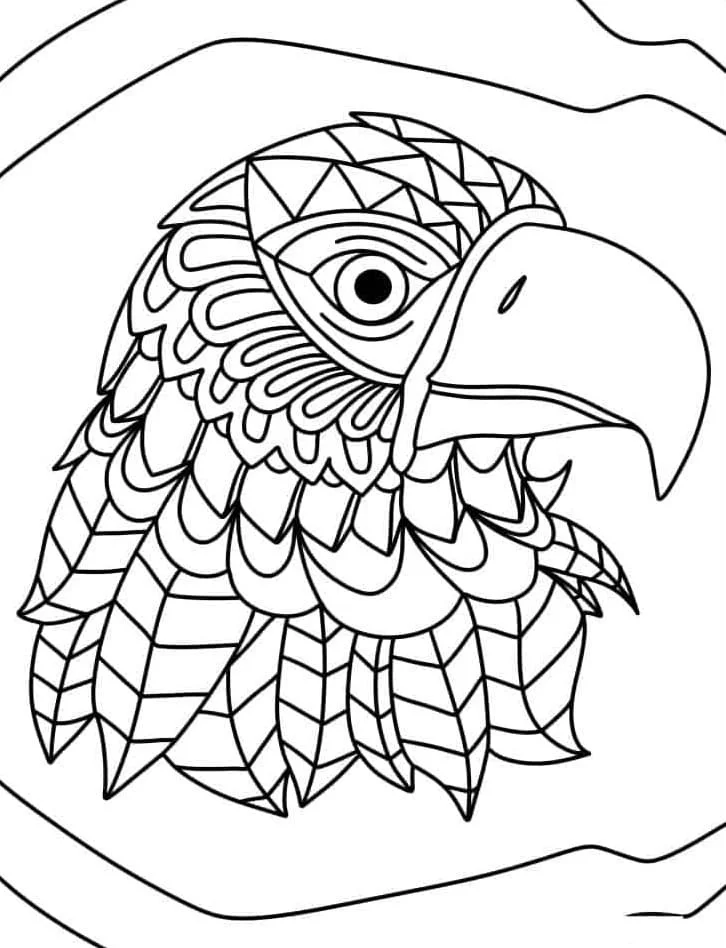 Bald Eagle Coloring Pages 28