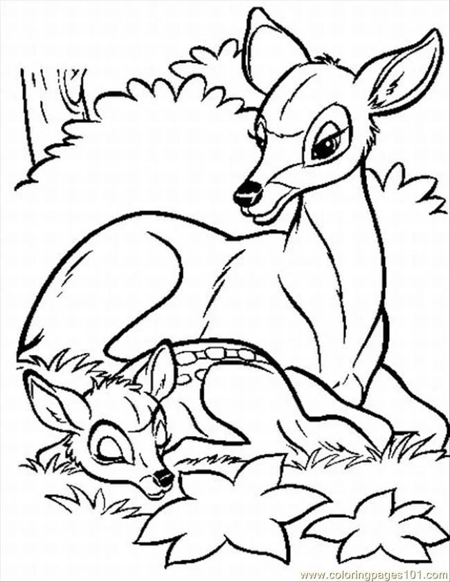 Bambi Coloring Pages 40