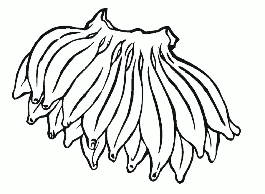 Banana Coloring Pages 33
