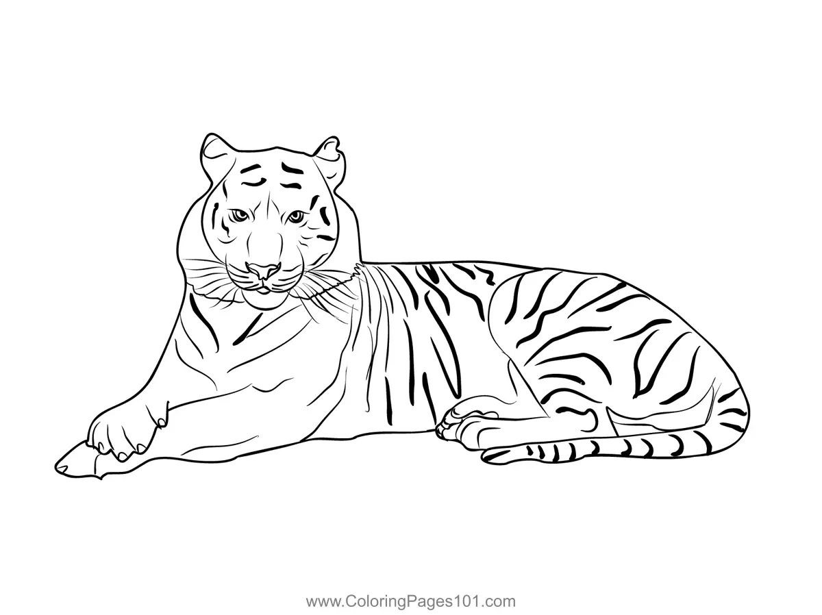 Bangladesh Coloring Pages 4