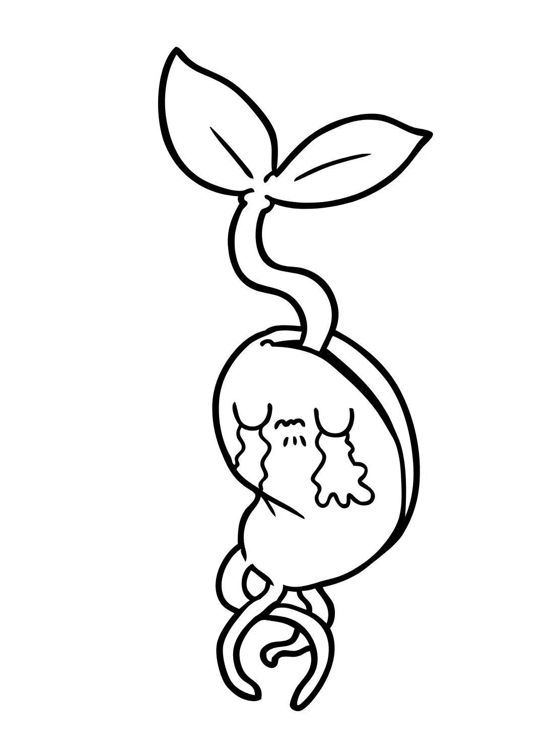 Desenhos de Feijao Para Colorir 17