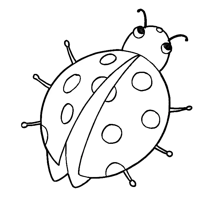 Bugs Coloring Pages 4