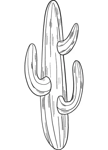 Cactus Coloring Pages 46