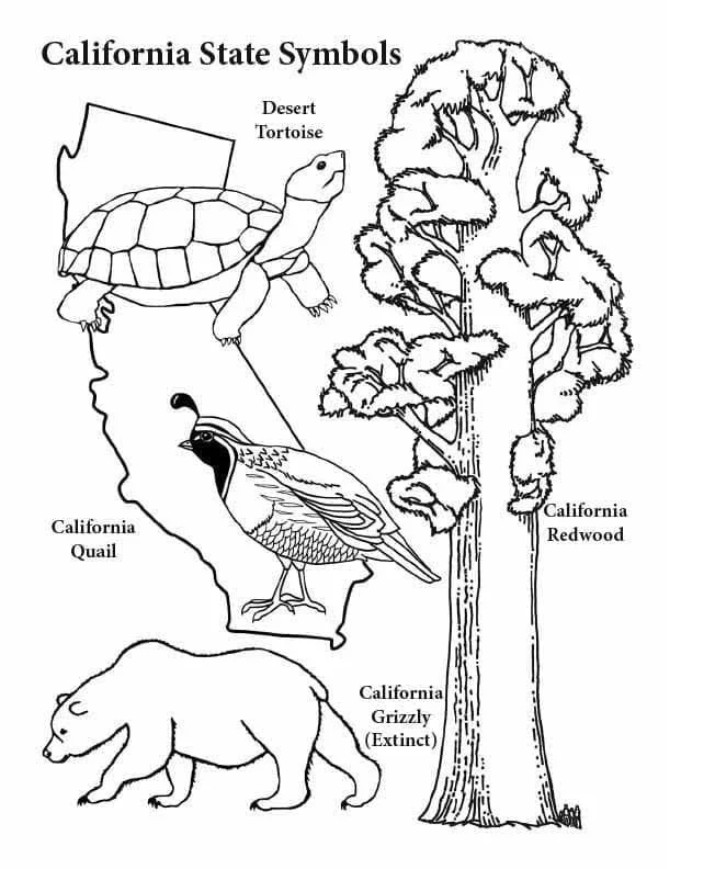 Desenhos de California Para Colorir 22