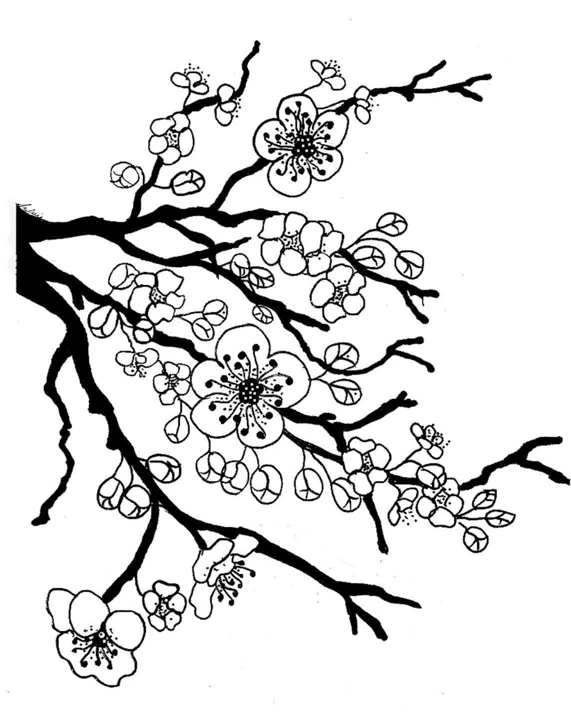 Cherry Tree Coloring Pages 1