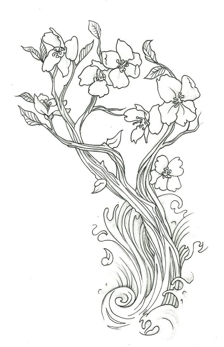 Cherry Tree Coloring Pages 11