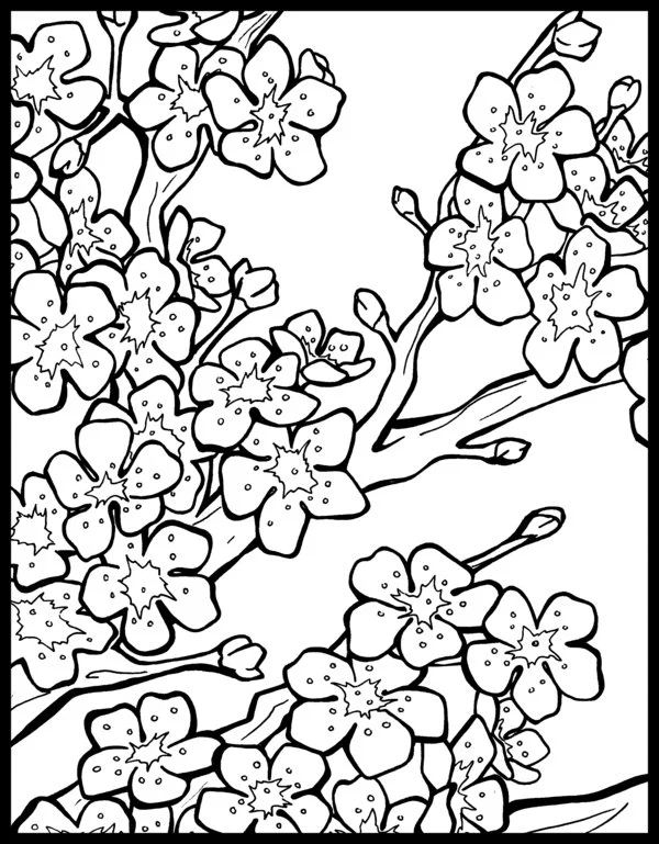Cherry Tree Coloring Pages 12
