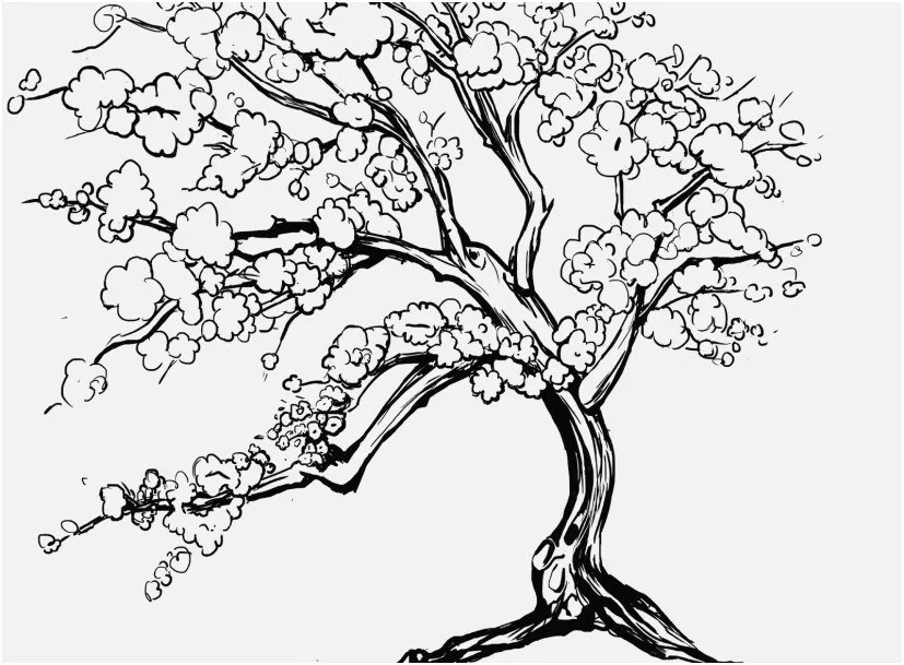 Cherry Tree Coloring Pages 16
