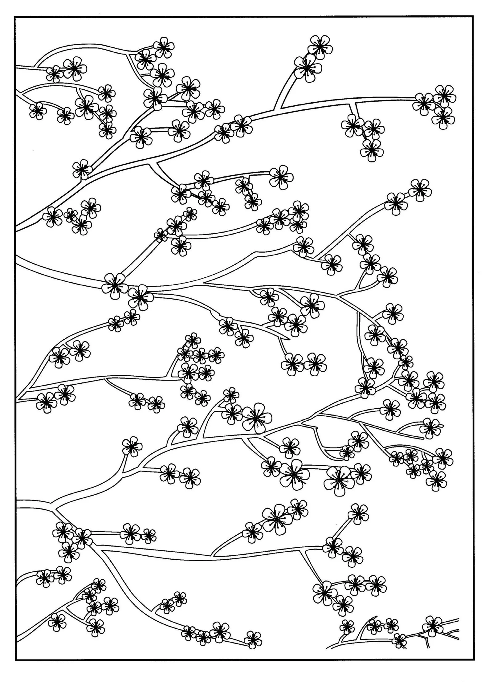 Cherry Tree Coloring Pages 17