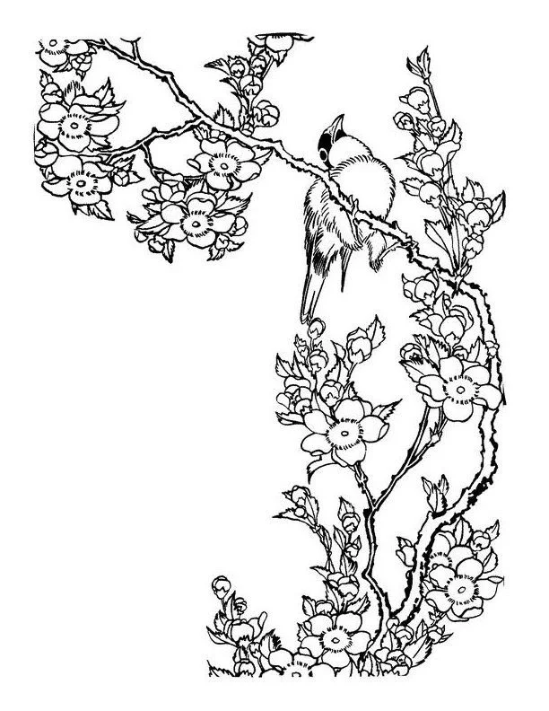 Cherry Tree Coloring Pages 19