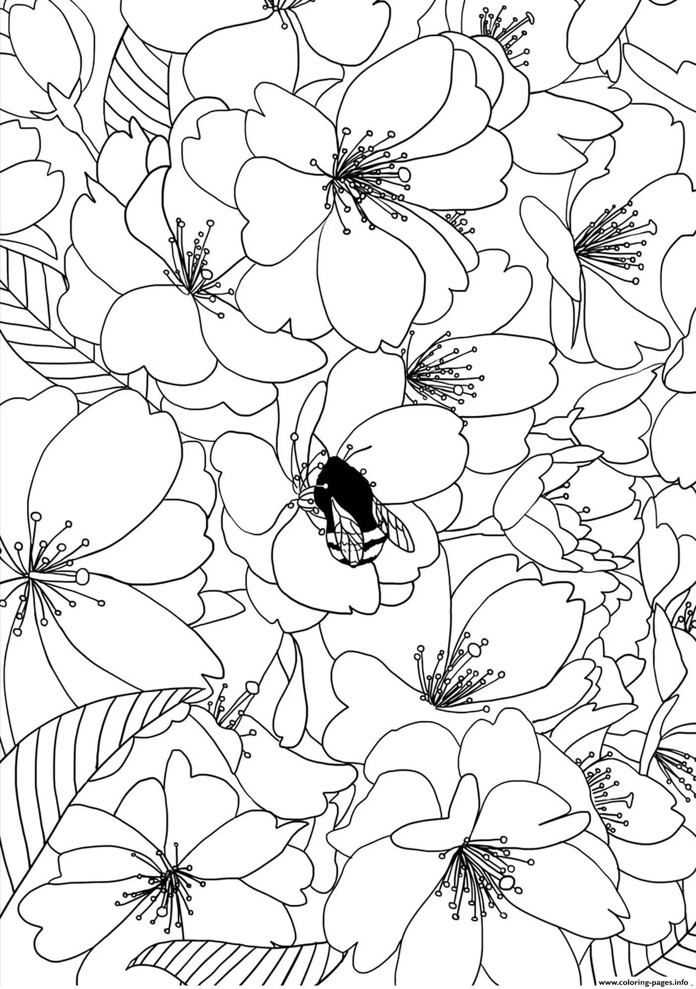 Cherry Tree Coloring Pages 20