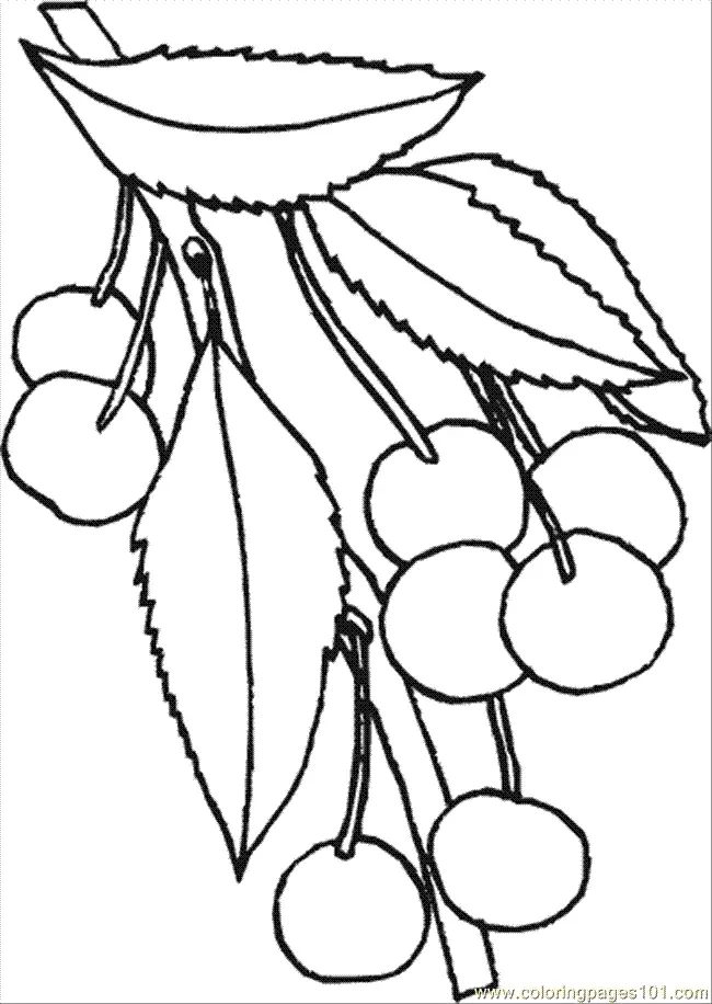 Cherry Tree Coloring Pages 25