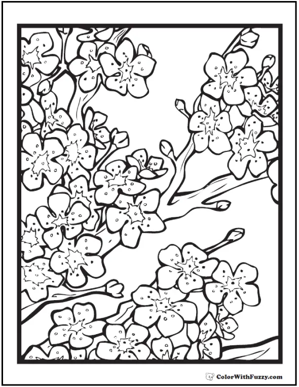 Cherry Tree Coloring Pages 27