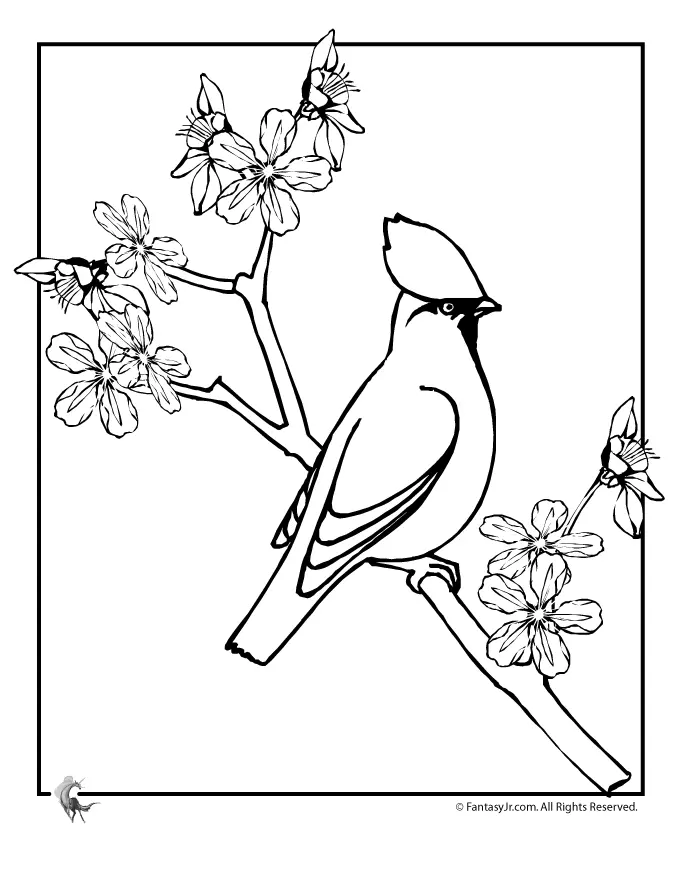 Cherry Tree Coloring Pages 30