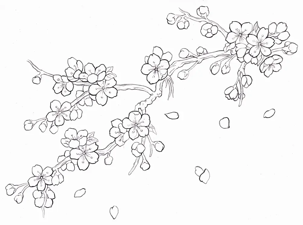 Cherry Tree Coloring Pages 9