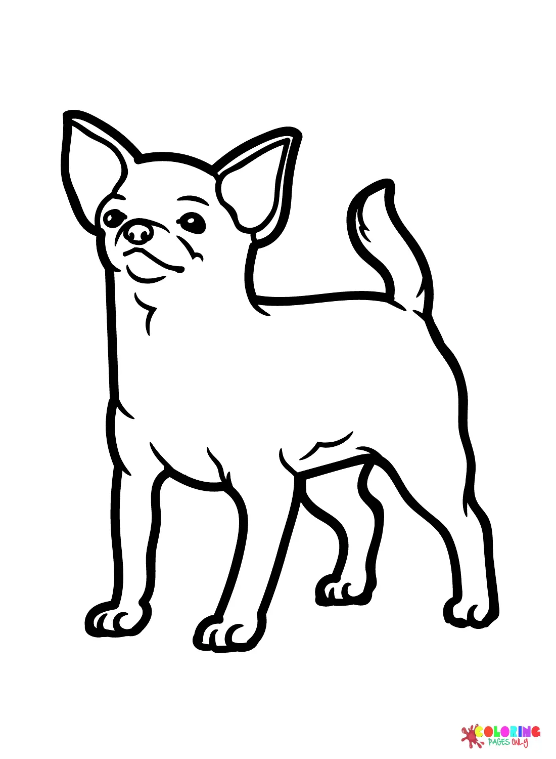 Chihuahua Para Colorear 11