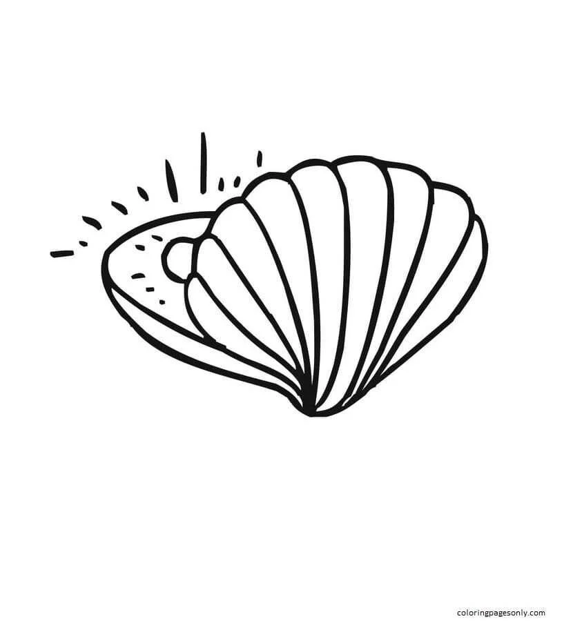 Clam Coloring Pages 29