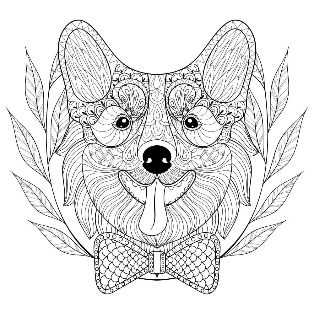 Corgi Coloring Pages 30