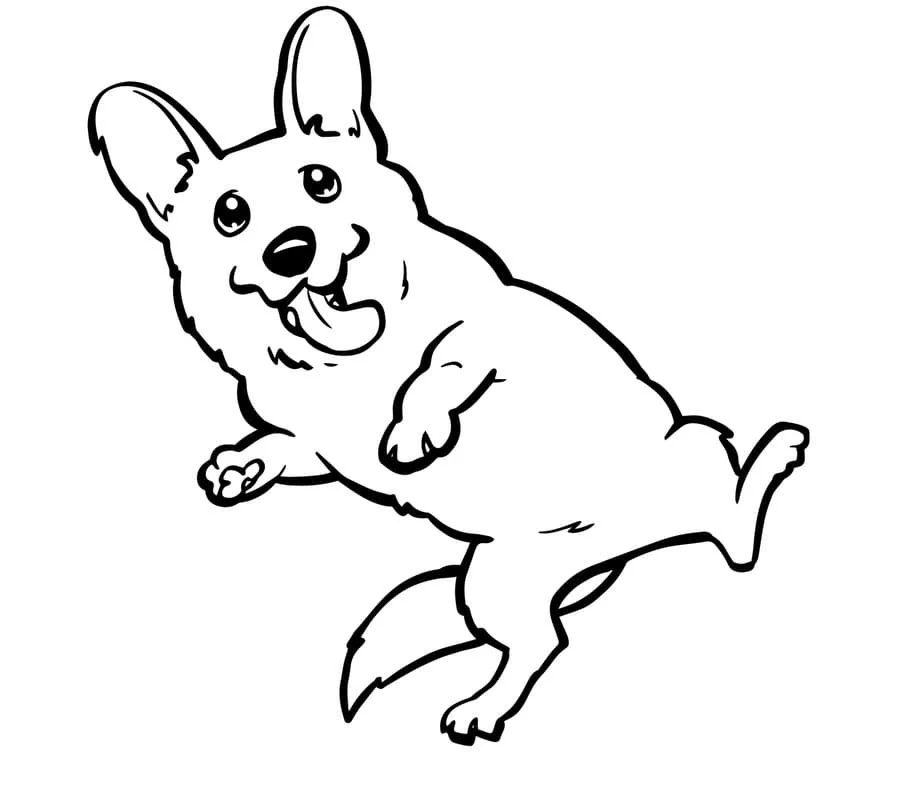 Corgi Coloring Pages 70