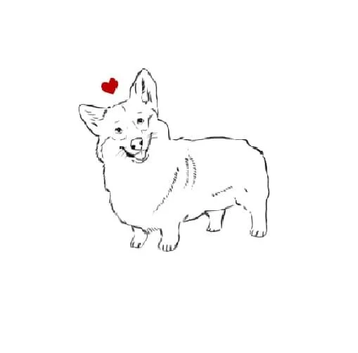 Corgi Coloring Pages 71