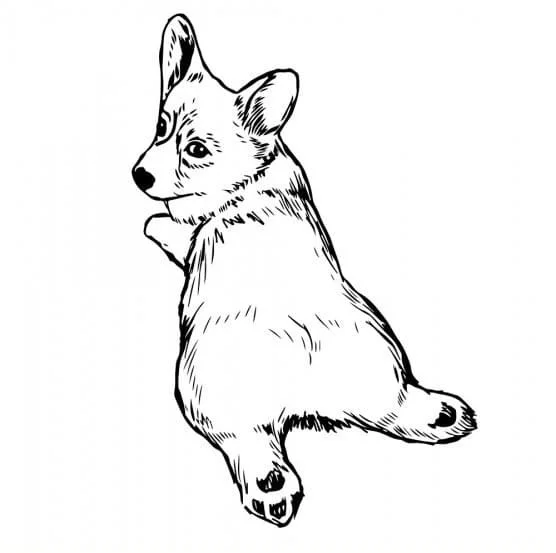 Corgi Coloring Pages 77