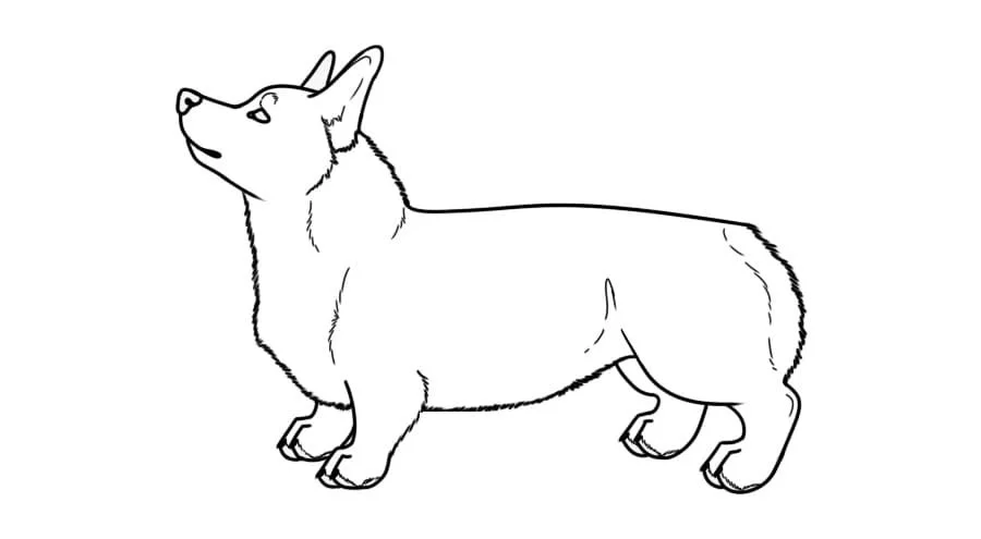 Corgi Coloring Pages 82