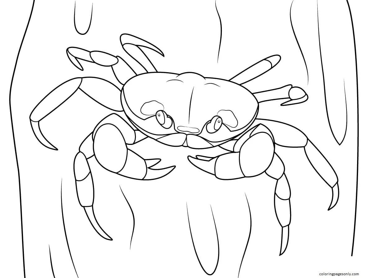 Desenhos de Caranguejo Para Colorir 45