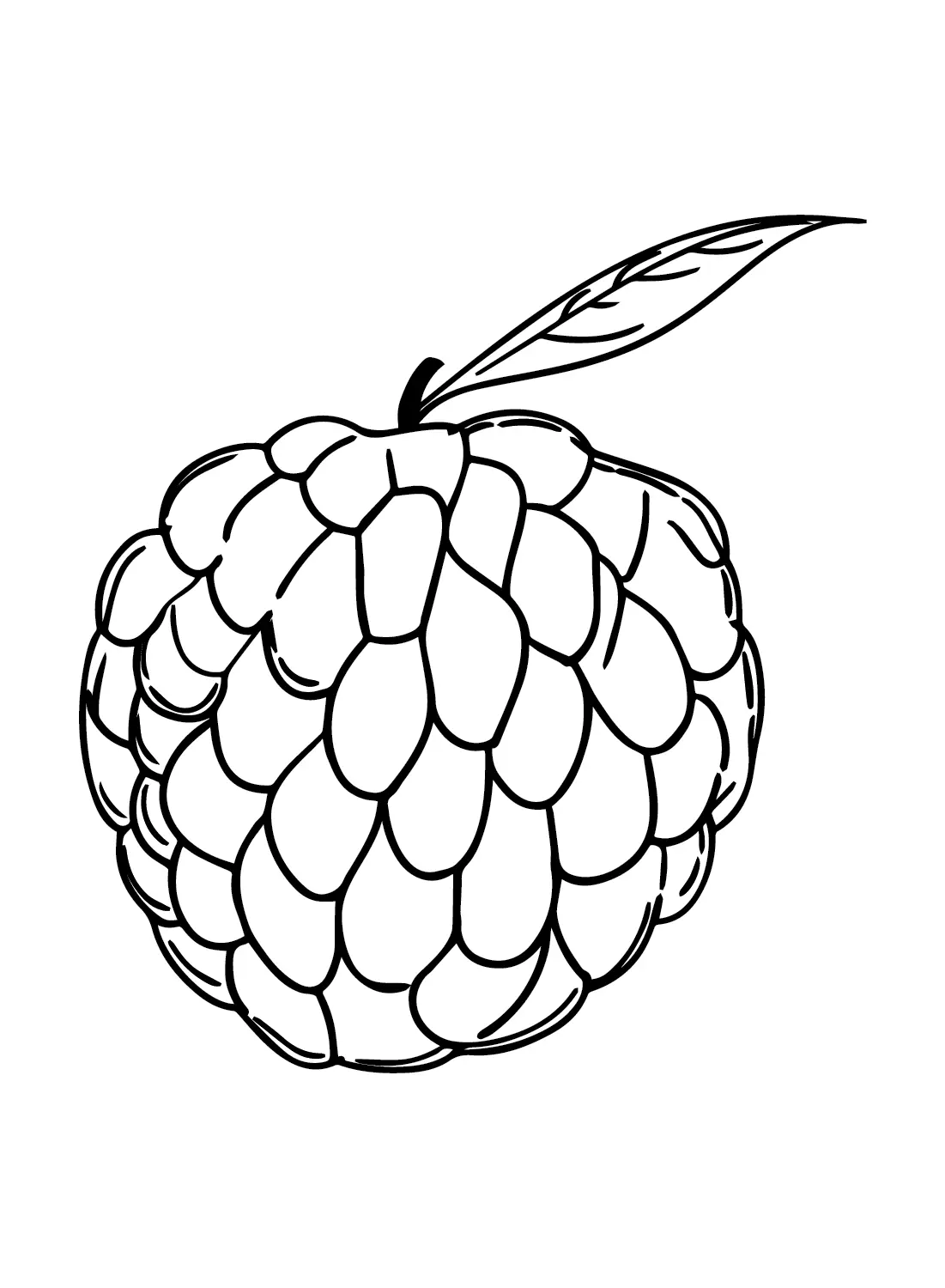 Custard Apple Ausmalbilder 14