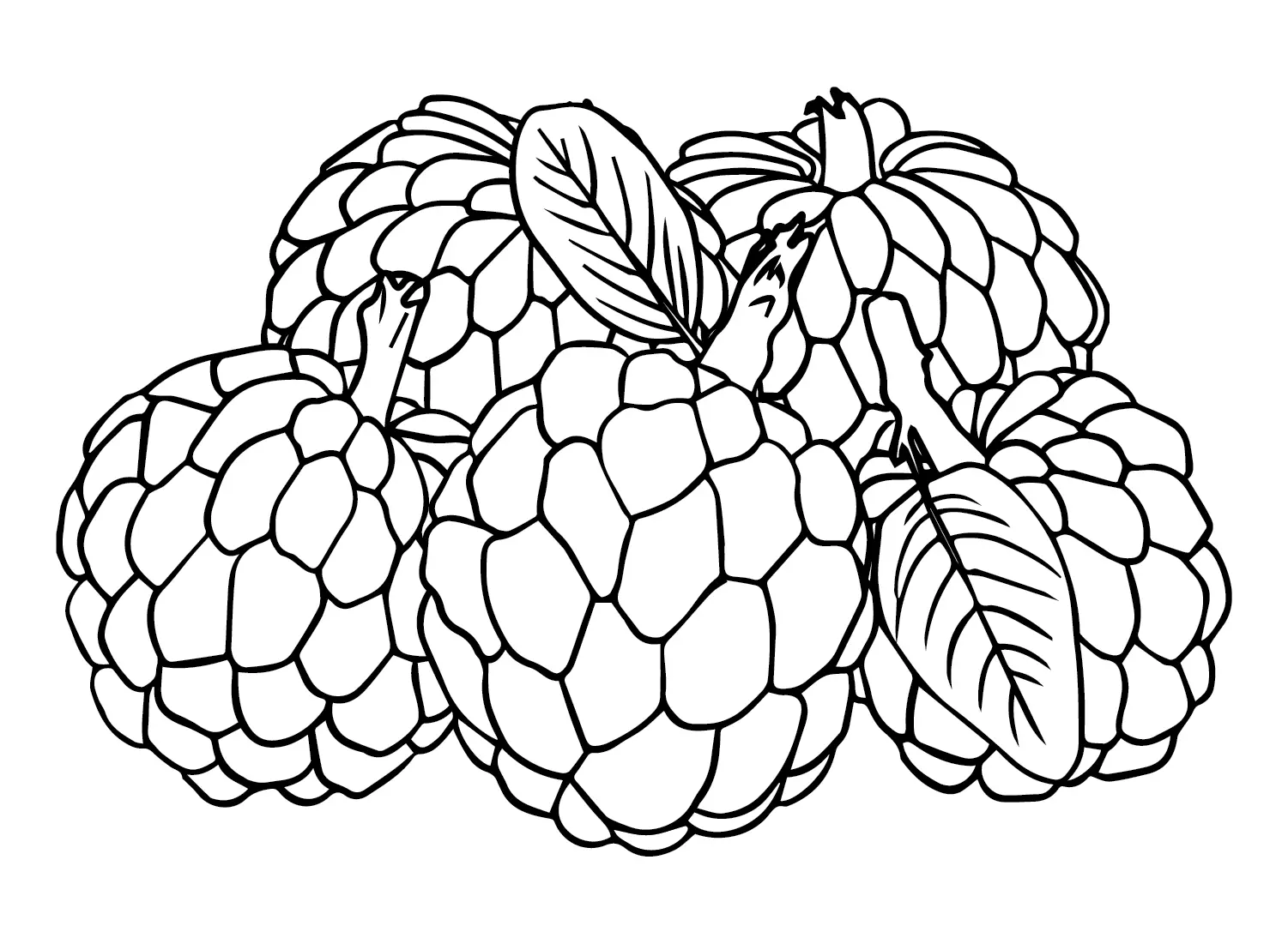 Custard Apple Ausmalbilder 21