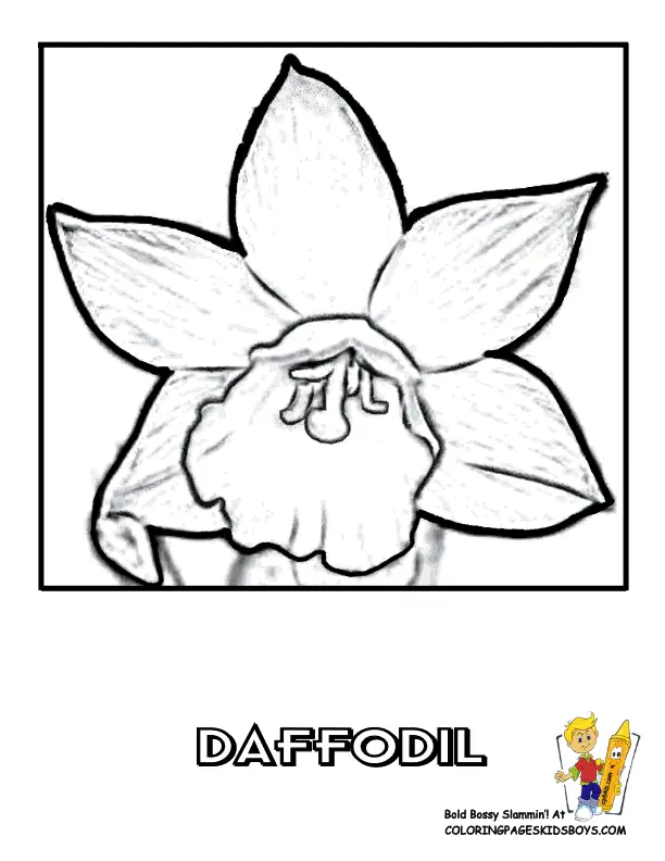 Narcisos Para Colorear 10