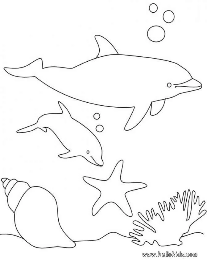 Dolphin Coloring Pages 1