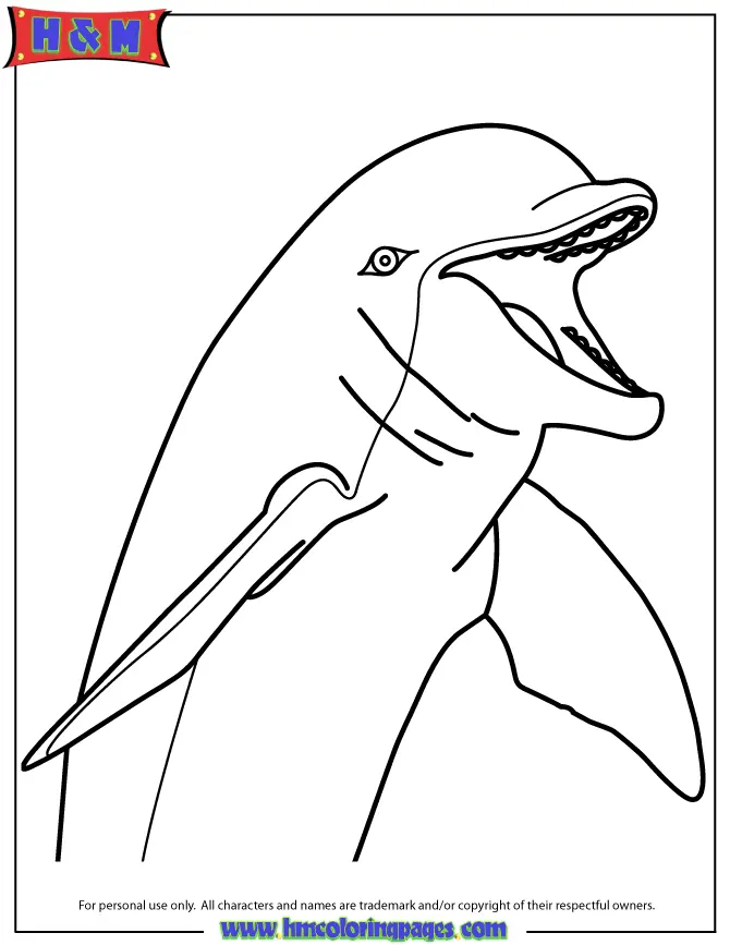 Dolphin Coloring Pages 47