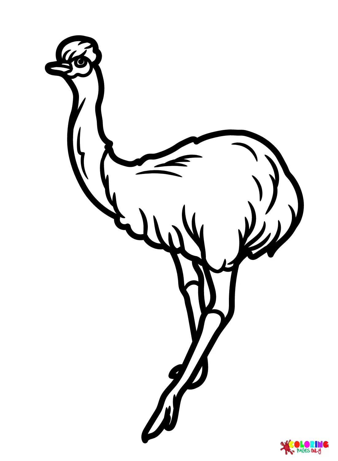 Emu Coloring Pages 2