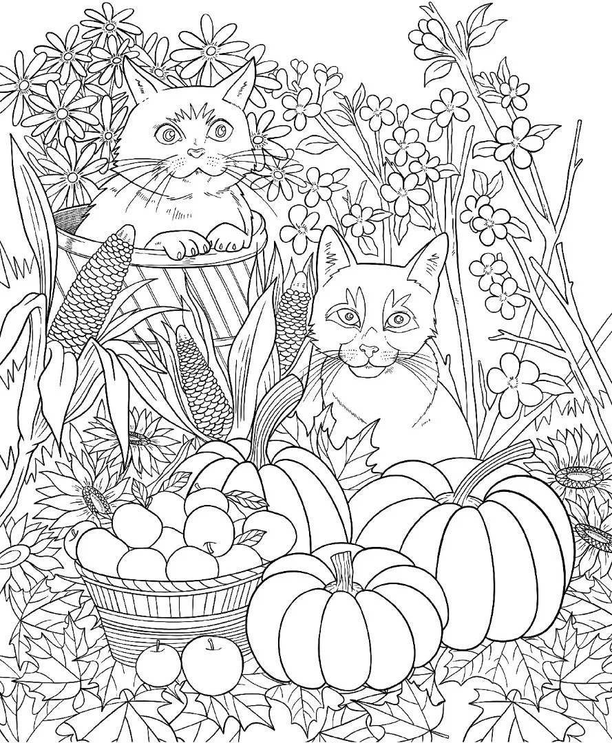 Fall Adult Coloring Pages 22