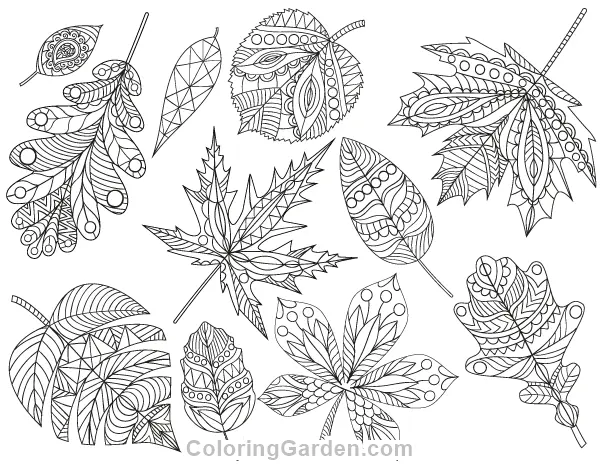 Fall Adult Coloring Pages 8