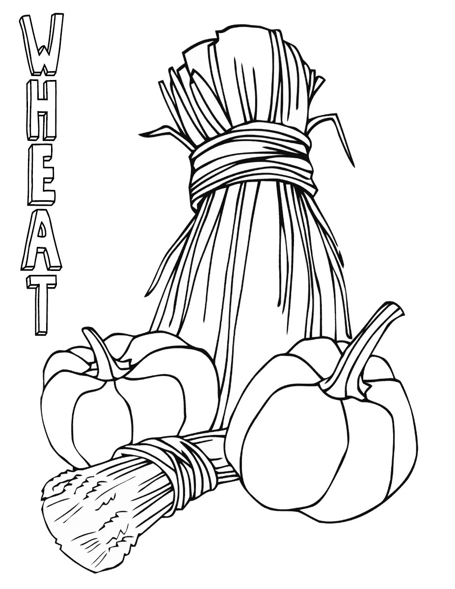 Flour Coloring Pages 35
