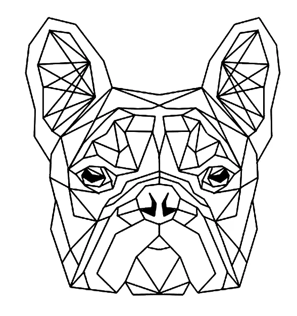 Geometric Coloring Pages 20