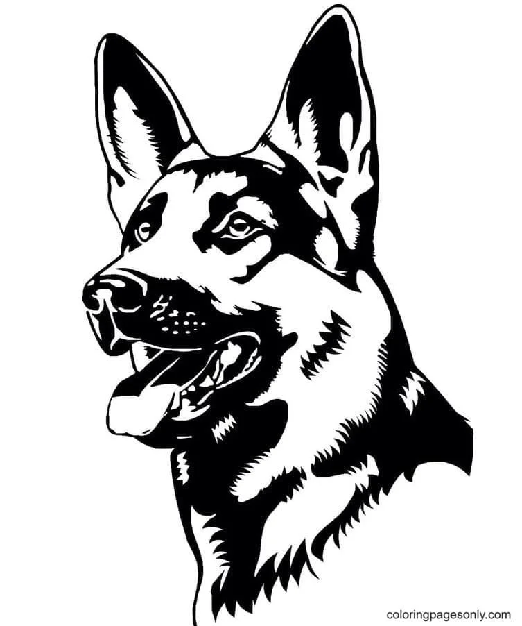 German Shepherd Coloring Pages 17