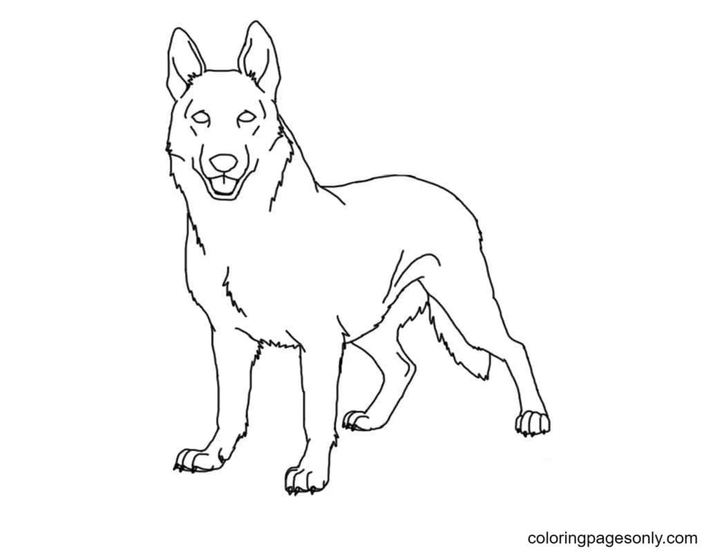 German Shepherd Coloring Pages 21