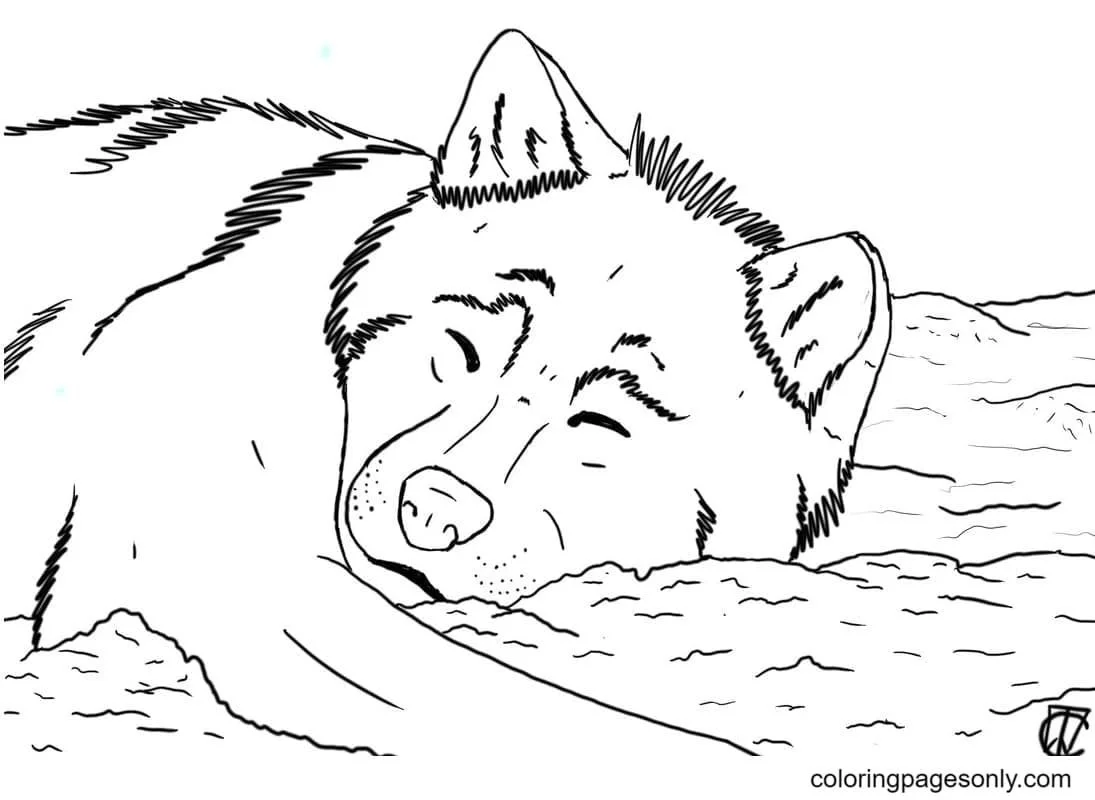 German Shepherd Coloring Pages 32