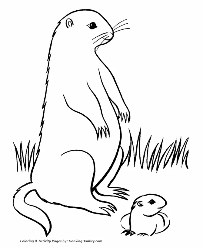 Groundhog Coloring Pages 1