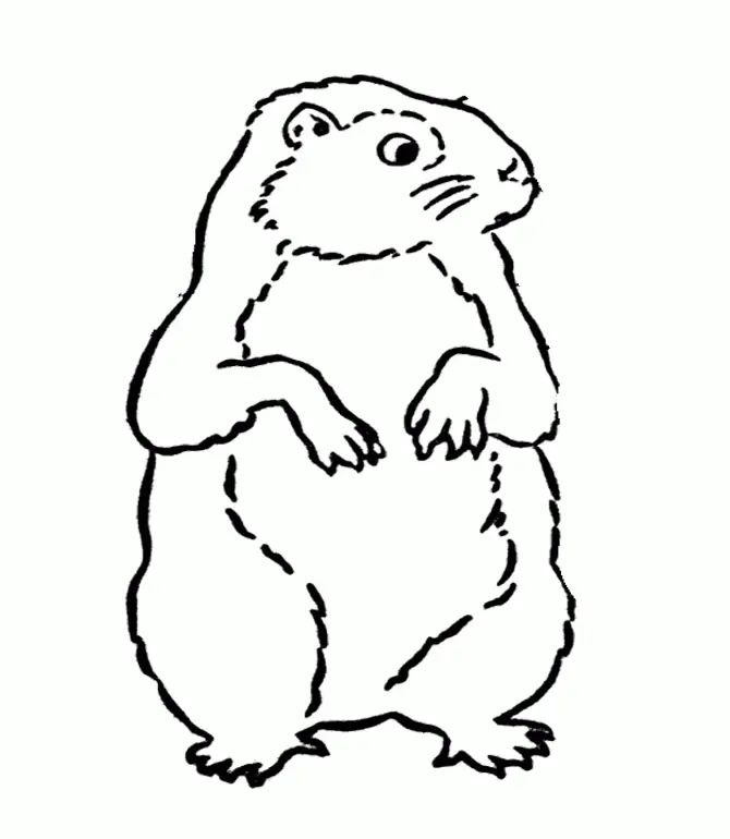 Groundhog Coloring Pages 13