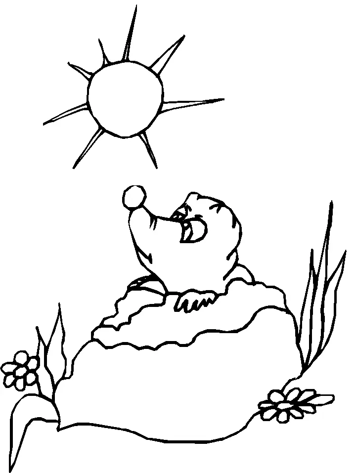 Groundhog Coloring Pages 22