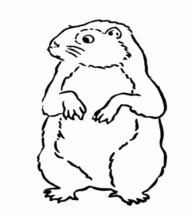 Groundhog Coloring Pages 24