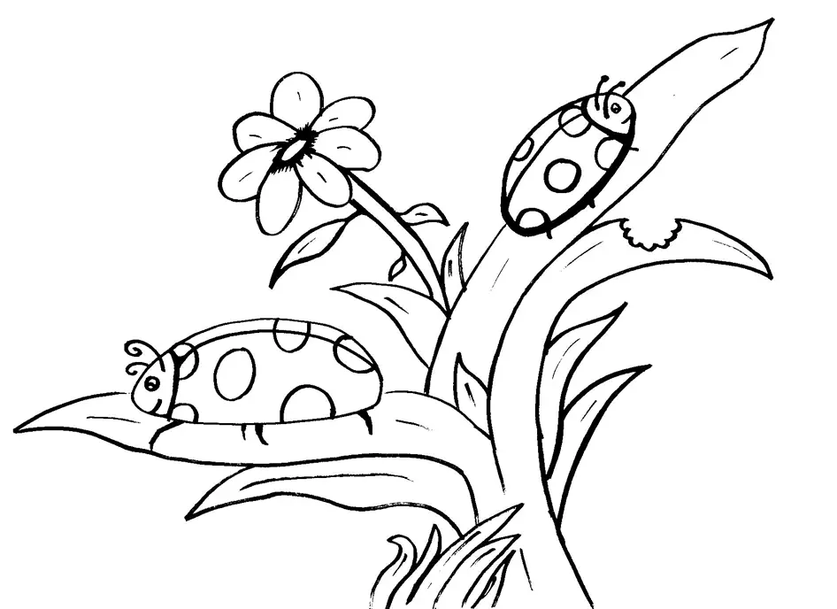 Groundhog Coloring Pages 32
